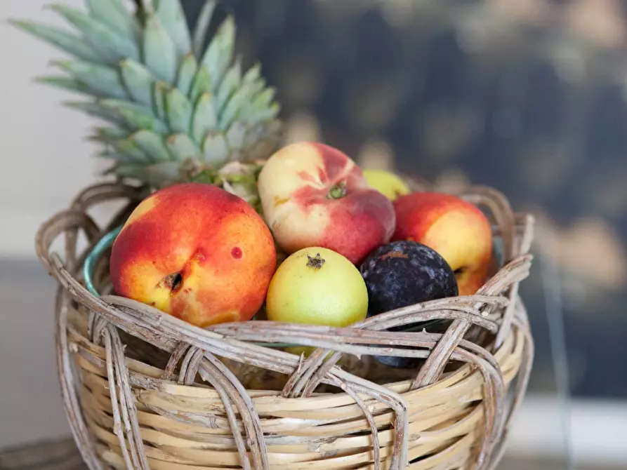 Immagine 24 di Albergo/B&B/Residence in affitto  in contrada favara snc a Ispica