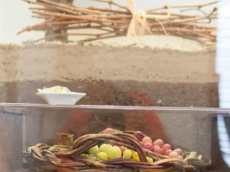 Immagine 41 di Albergo/B&B/Residence in affitto  in contrada favara snc a Ispica