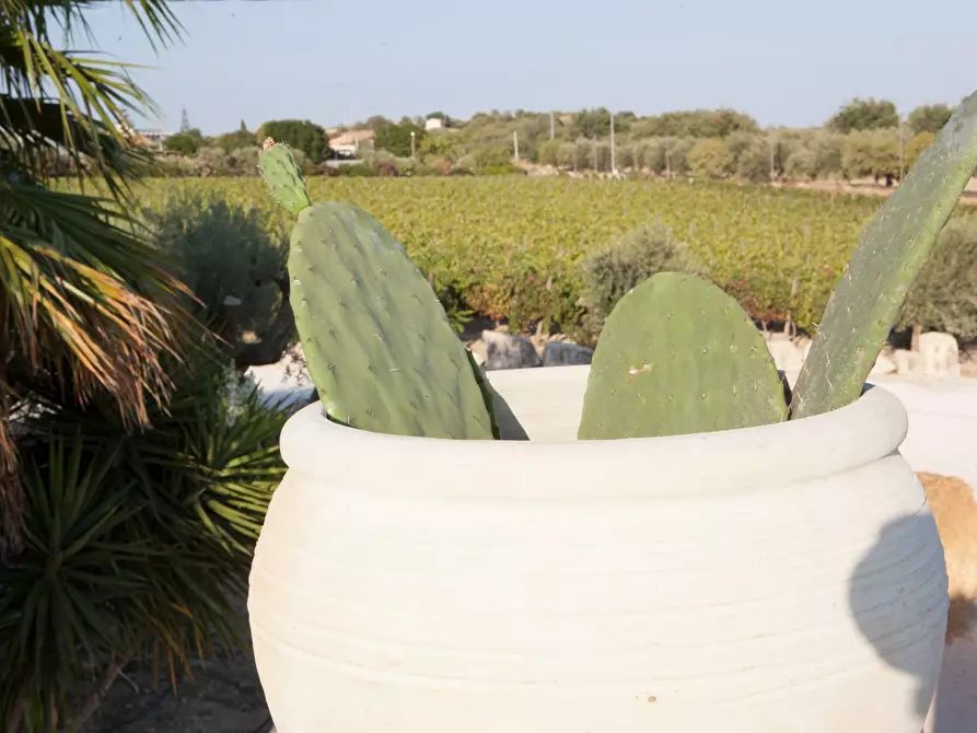 Immagine 59 di Albergo/B&B/Residence in affitto  in contrada favara snc a Ispica