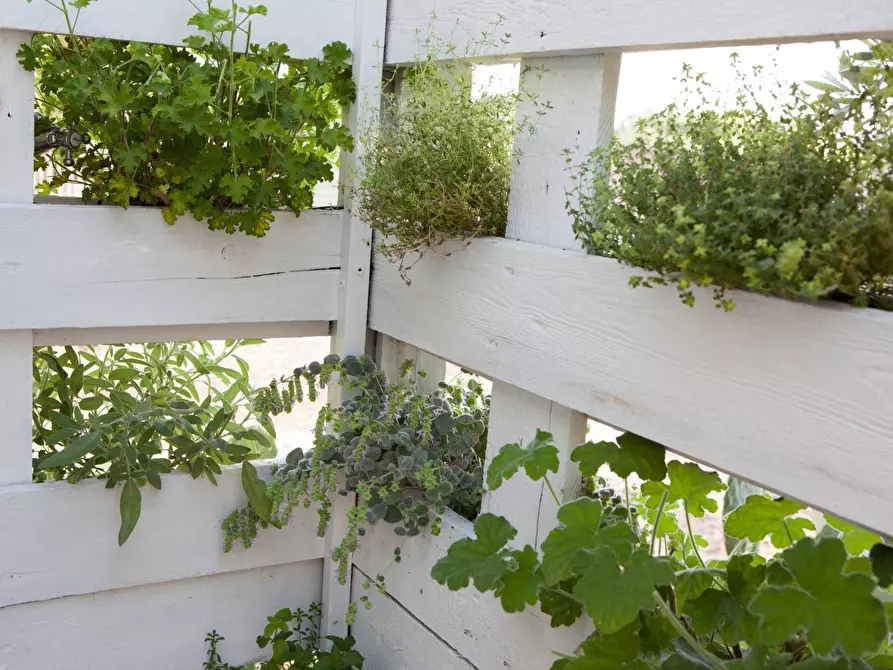 Immagine 61 di Albergo/B&B/Residence in affitto  in contrada favara snc a Ispica