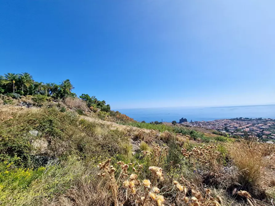 Immagine 5 di Terreno agricolo in vendita  in Via Monterosso snc a Aci Castello