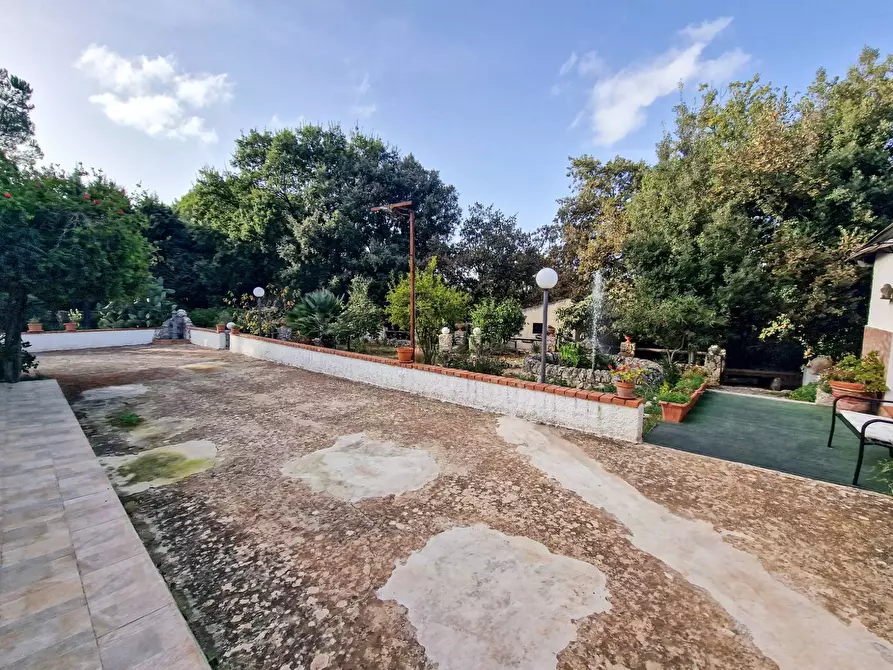 Immagine 11 di Villa in vendita  in Menghisi snc a Noto