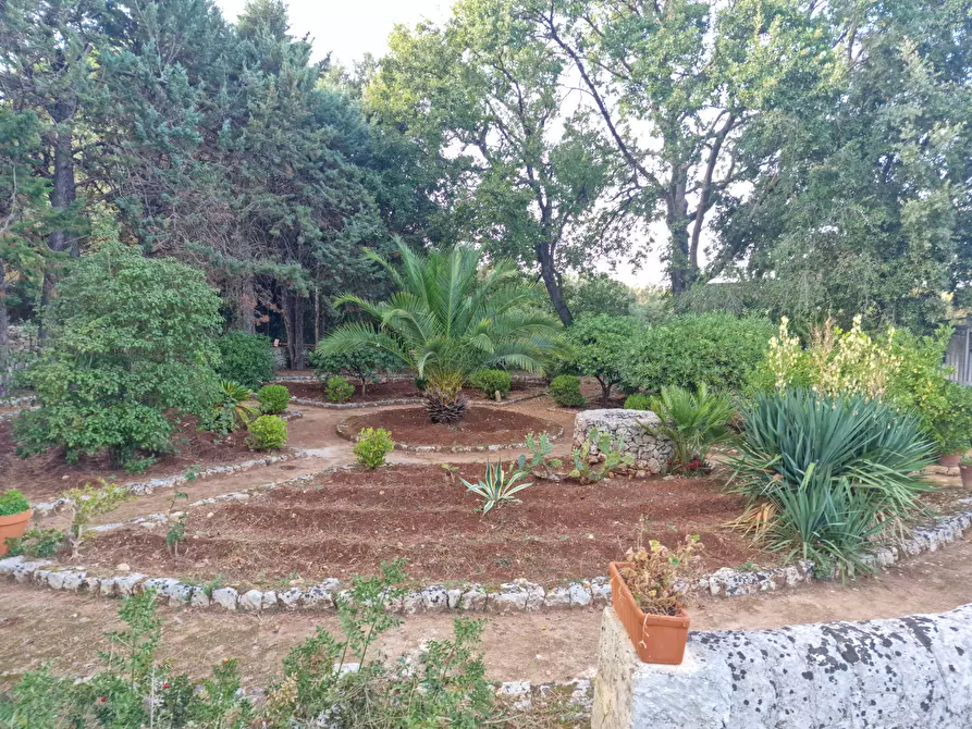 Immagine 54 di Villa in vendita  in Menghisi snc a Noto