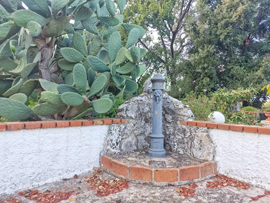 Immagine 56 di Villa in vendita  in Menghisi snc a Noto