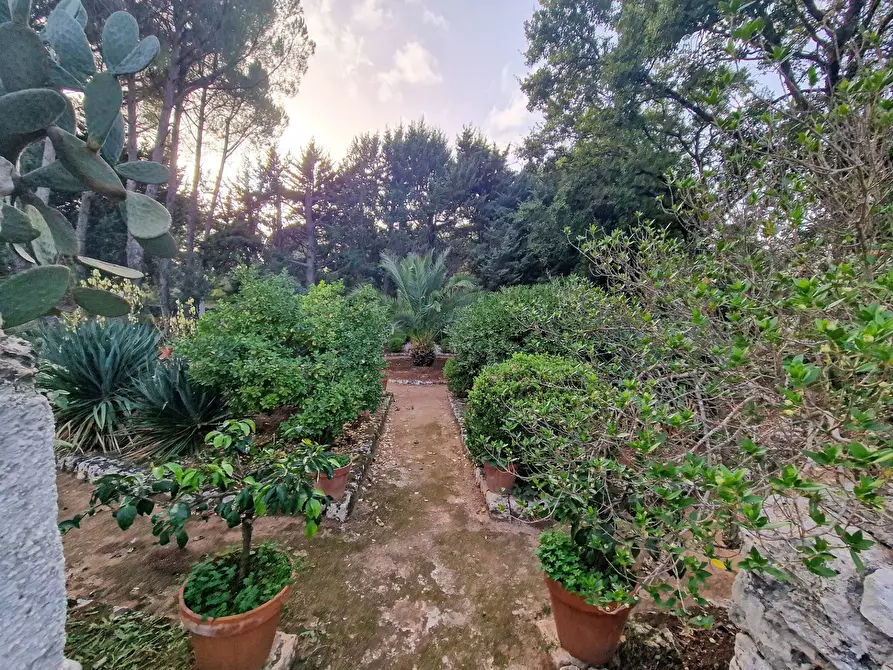 Immagine 57 di Villa in vendita  in Menghisi snc a Noto