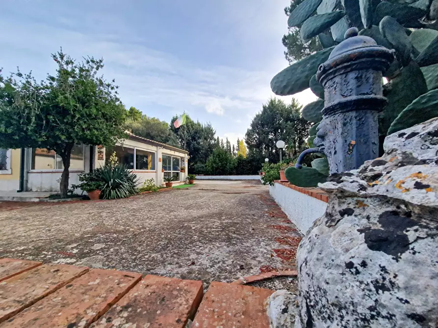 Immagine 8 di Villa in vendita  in Menghisi snc a Noto