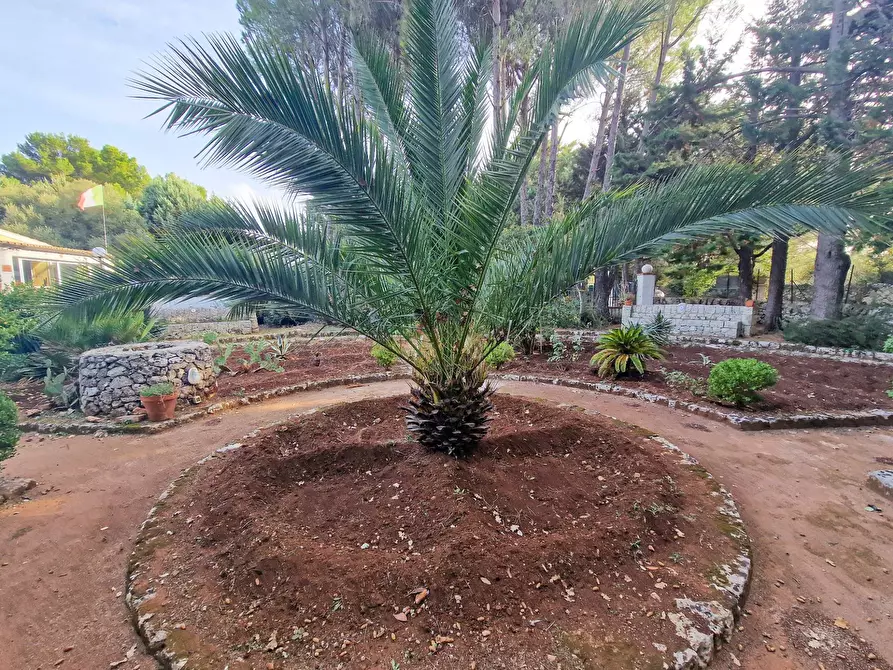 Immagine 59 di Villa in vendita  in Menghisi snc a Noto