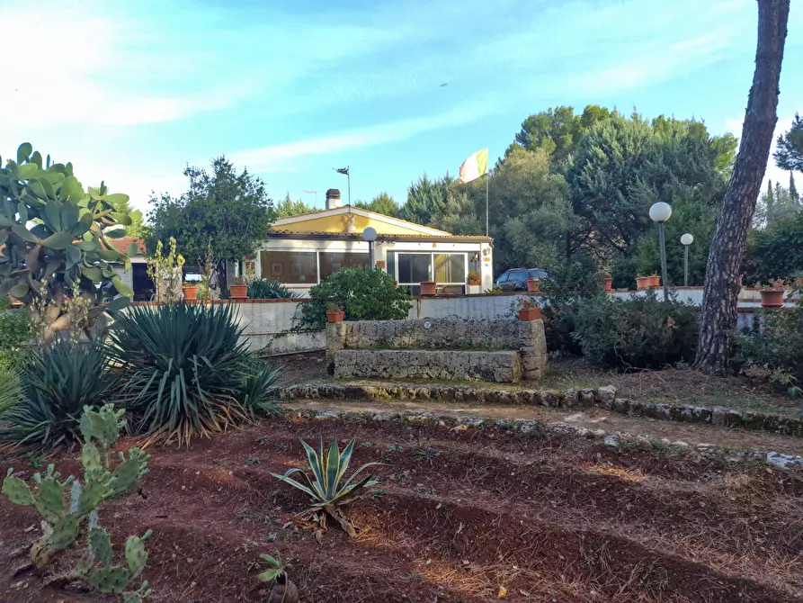 Immagine 60 di Villa in vendita  in Menghisi snc a Noto