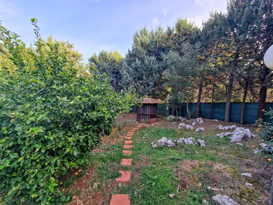 Immagine 67 di Villa in vendita  in Menghisi snc a Noto