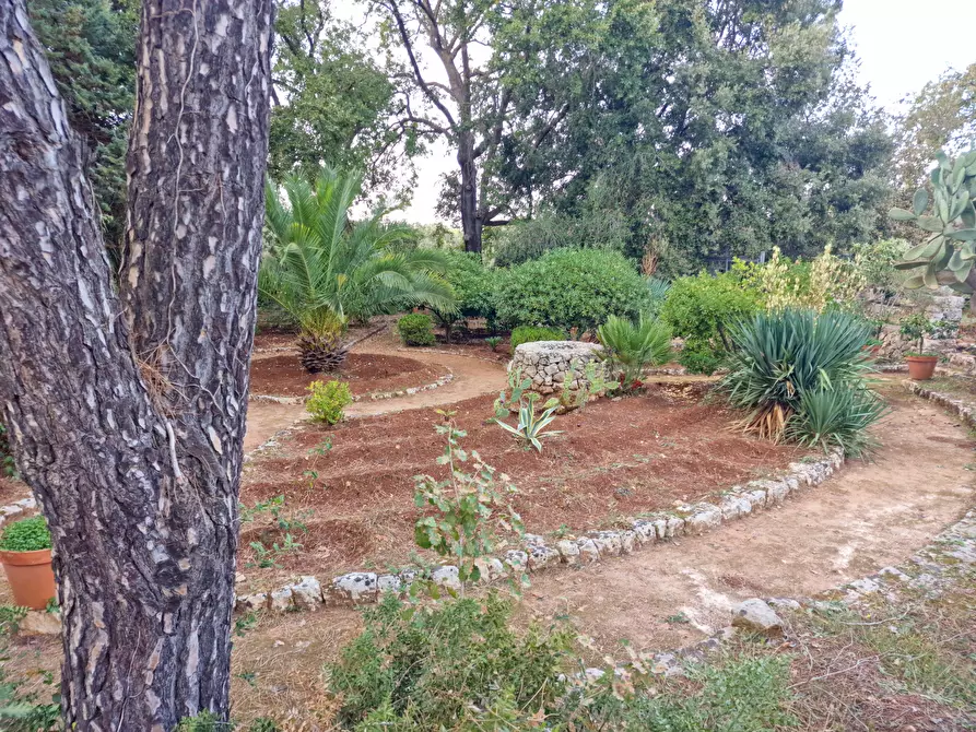 Immagine 69 di Villa in vendita  in Menghisi snc a Noto