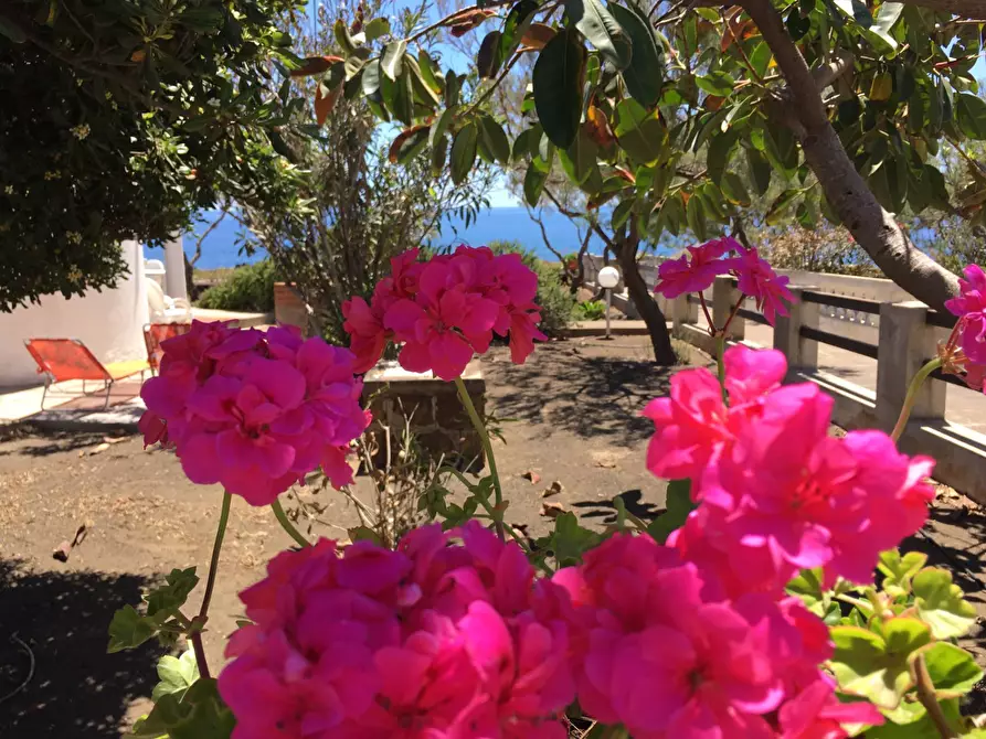 Immagine 20 di Villa in vendita  in contrada pozzolana a Lampedusa E Linosa
