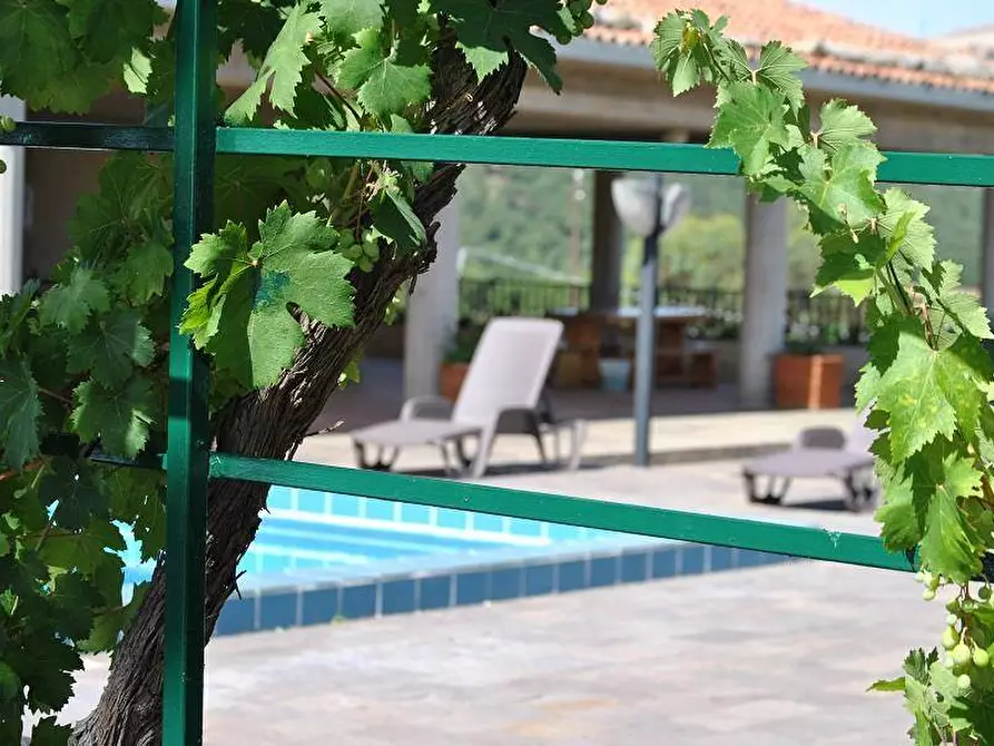 Immagine 6 di Villa in affitto  in Contrada Portelle snc a Gangi