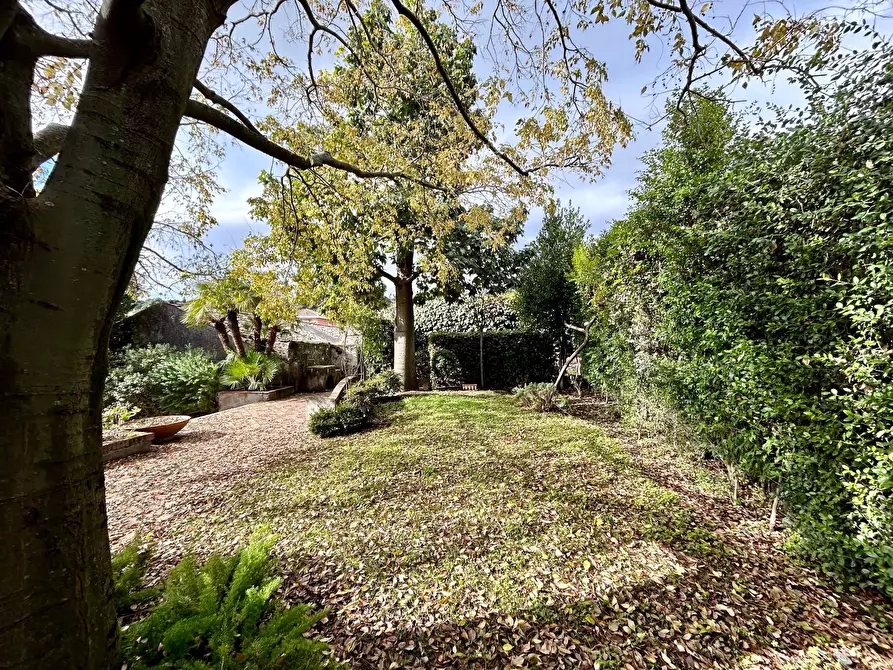 Immagine 48 di Villa in vendita  in via giuseppe garibaldi snc a Viagrande