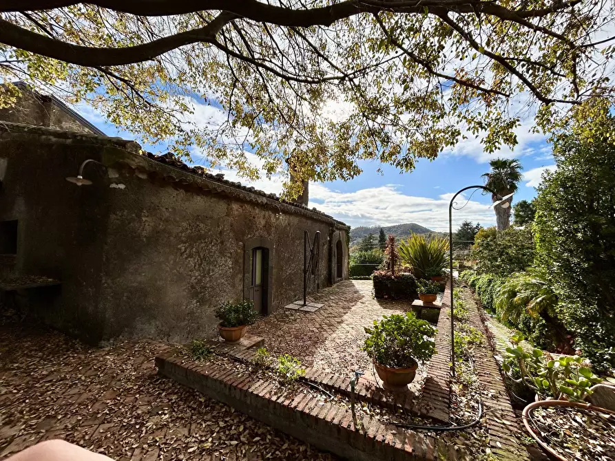 Immagine 49 di Villa in vendita  in via giuseppe garibaldi snc a Viagrande