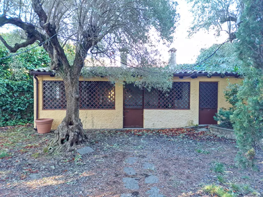 Immagine 37 di Villa in affitto  in Via Ugo Foscolo snc a Gravina Di Catania