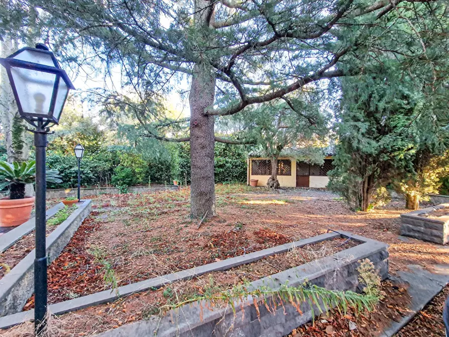 Immagine 60 di Villa in affitto  in Via Ugo Foscolo snc a Gravina Di Catania