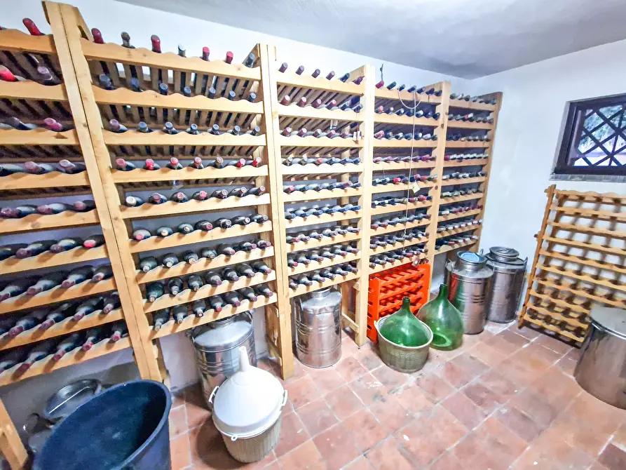 Immagine 45 di Villa in affitto  in Via Ugo Foscolo snc a Gravina Di Catania