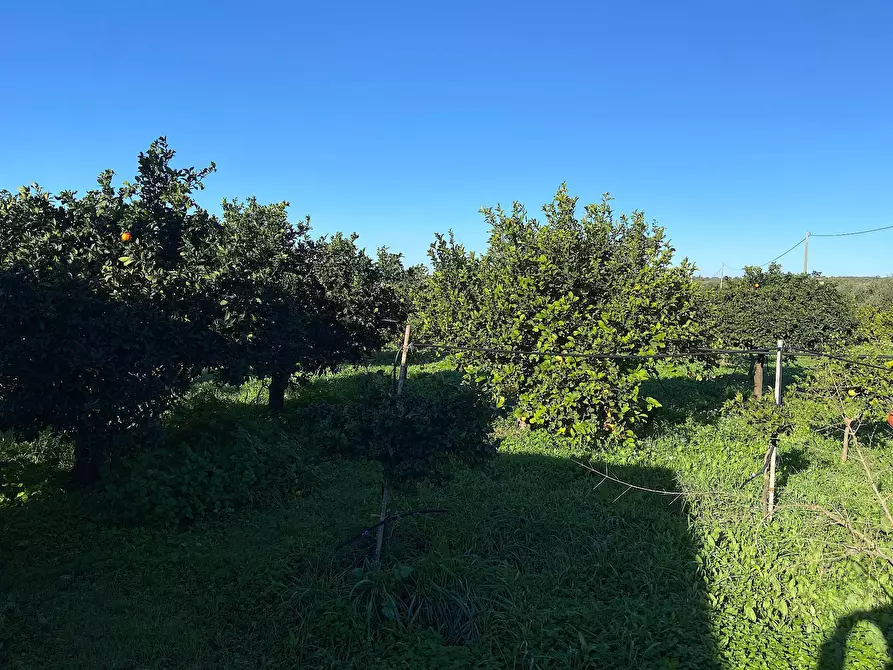 Immagine 4 di Villa in vendita  in bommiscuro a Noto