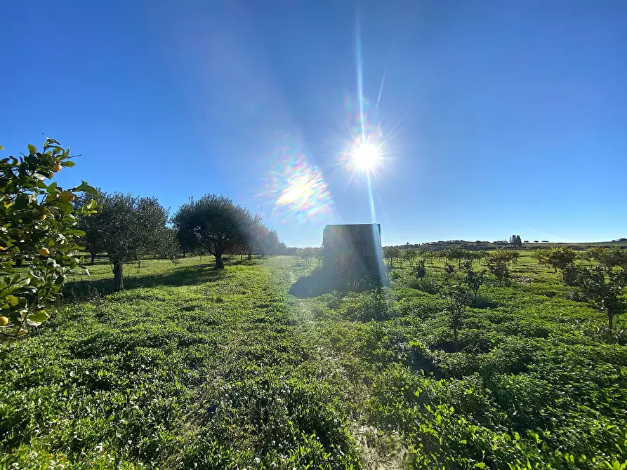 Immagine 10 di Villa in vendita  in bommiscuro a Noto