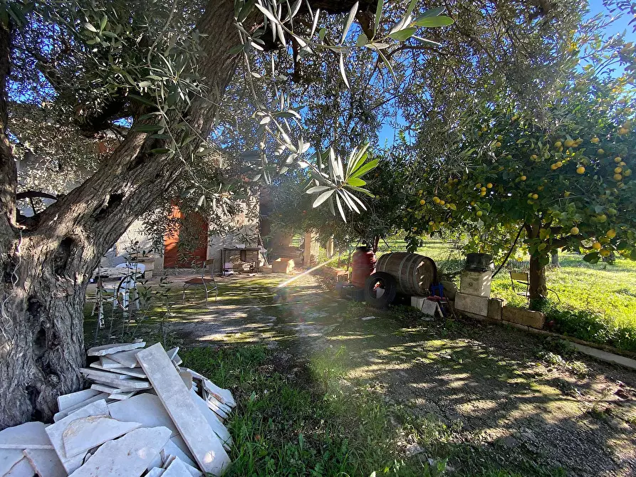 Immagine 7 di Villa in vendita  in bommiscuro a Noto