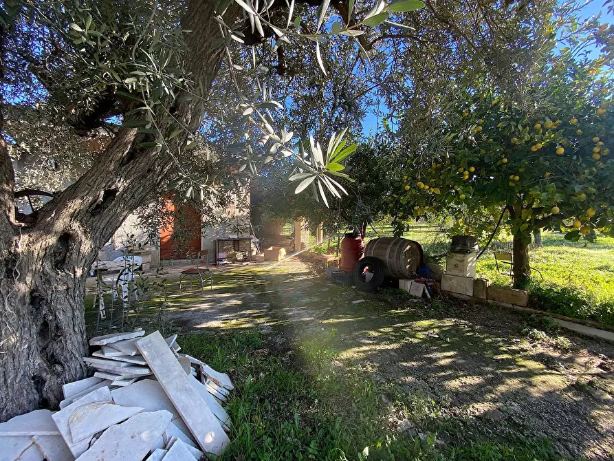 Immagine 11 di Villa in vendita  in bommiscuro a Noto