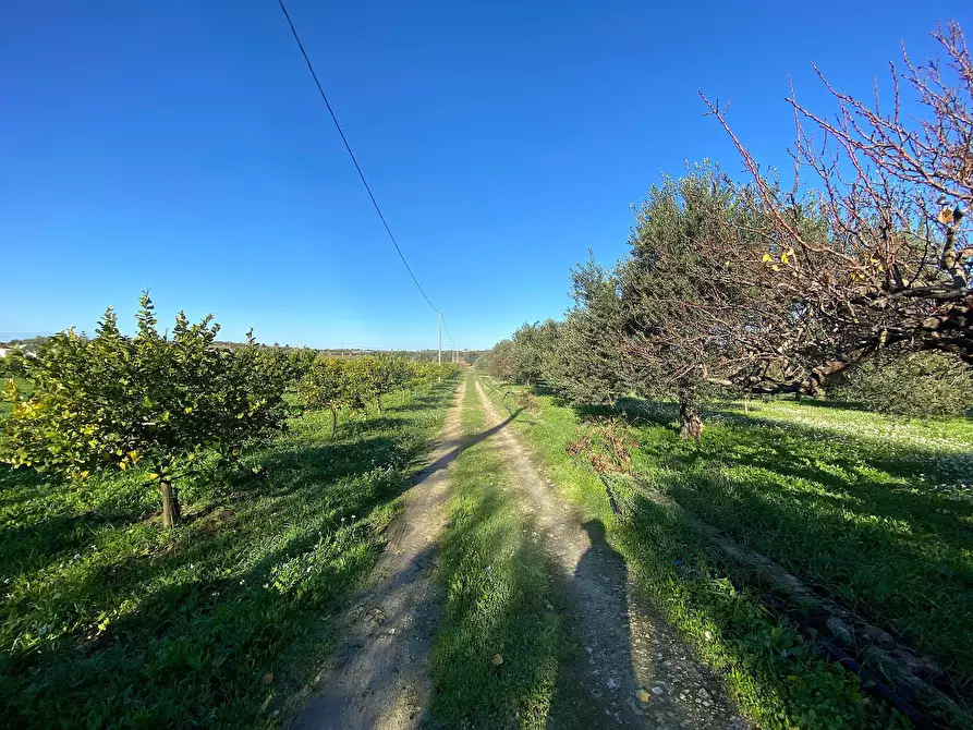 Immagine 5 di Villa in vendita  in bommiscuro a Noto