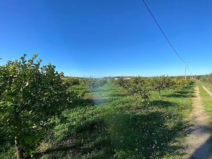 Immagine 3 di Villa in vendita  in bommiscuro a Noto