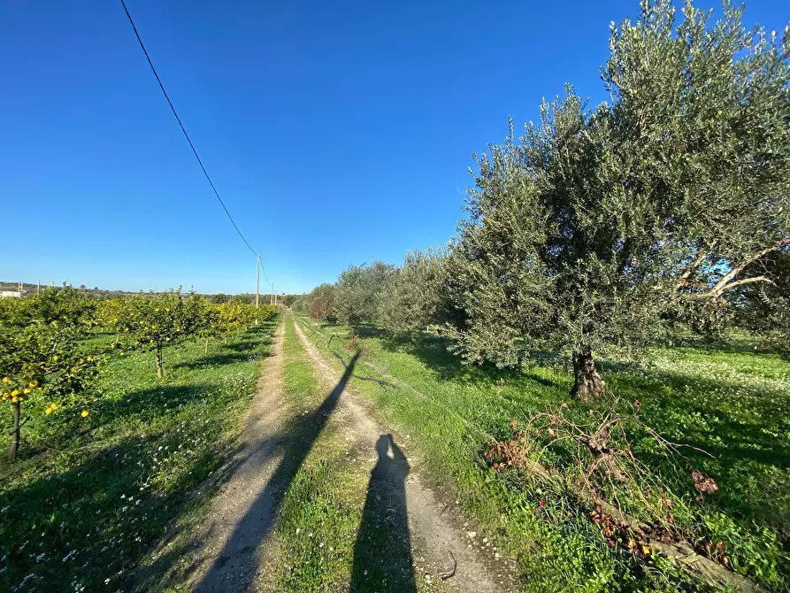 Immagine 2 di Villa in vendita  in bommiscuro a Noto