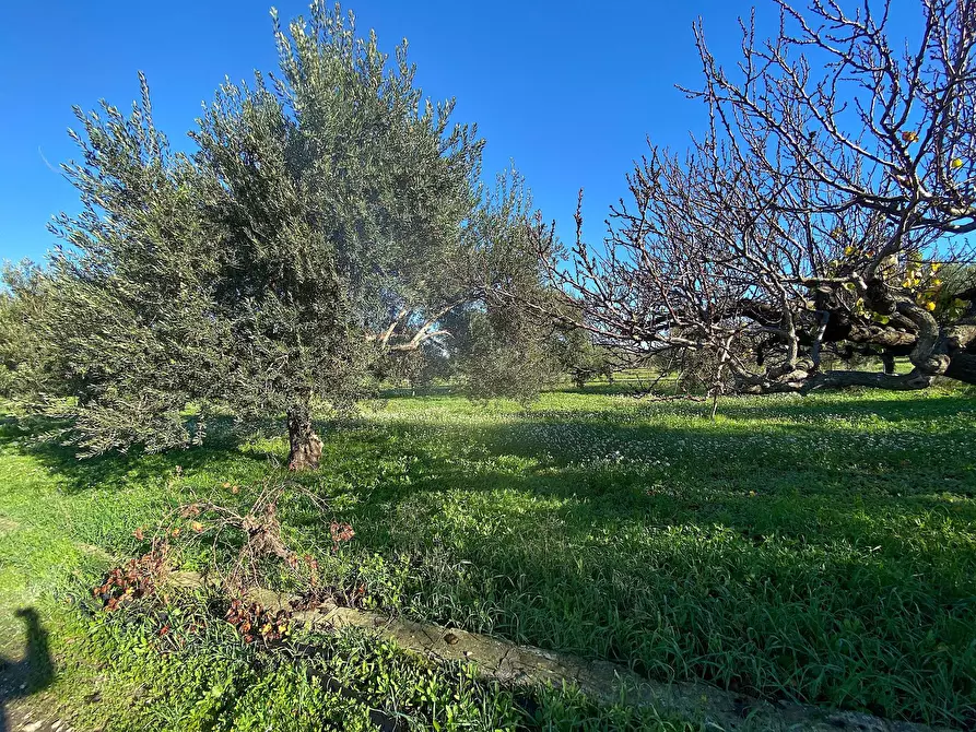 Immagine 9 di Villa in vendita  in bommiscuro a Noto