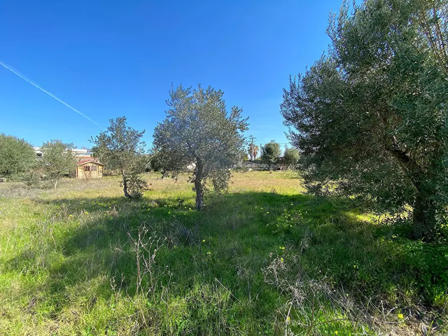 Immagine 3 di Terreno residenziale in vendita  in traversa renella a Siracusa