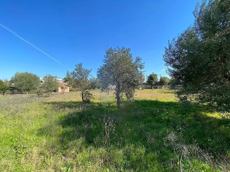 Immagine 7 di Terreno residenziale in vendita  in traversa renella a Siracusa