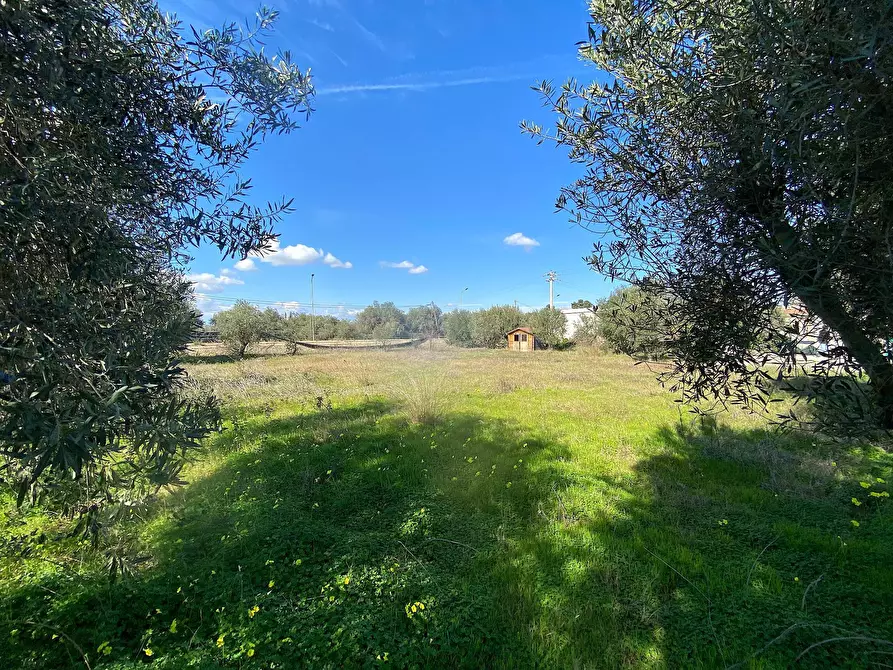 Immagine 4 di Terreno residenziale in vendita  in traversa renella a Siracusa