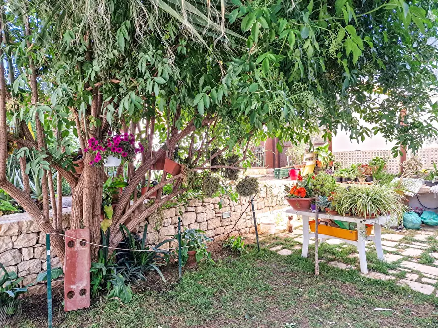 Immagine 25 di Villetta a schiera in vendita  in vicinale zagarone snc a Scicli