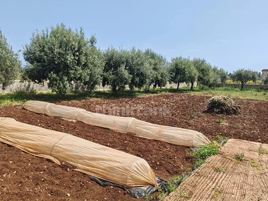 Immagine 2 di Terreno residenziale in vendita  in via Filicudi s.n.c a Siracusa