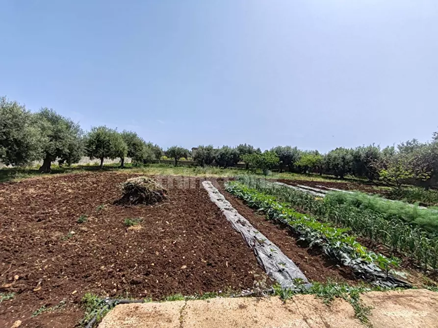 Immagine 3 di Terreno residenziale in vendita  in via Filicudi s.n.c a Siracusa