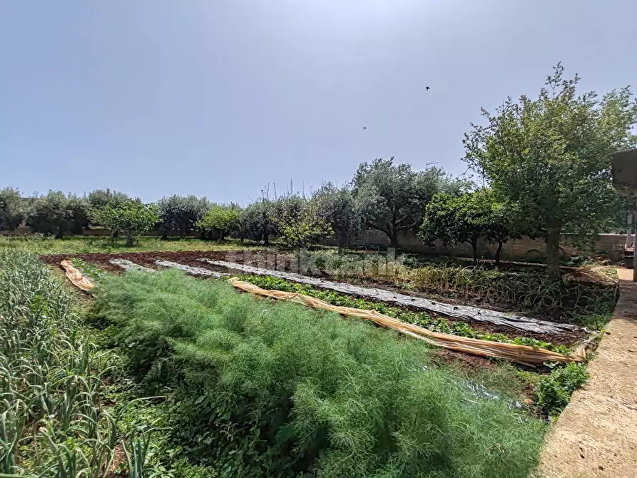 Immagine 4 di Terreno residenziale in vendita  in via Filicudi s.n.c a Siracusa