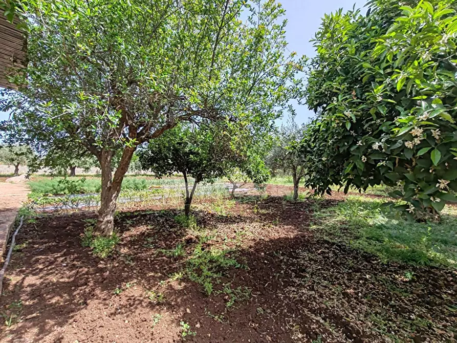 Immagine 6 di Terreno residenziale in vendita  in via Filicudi s.n.c a Siracusa