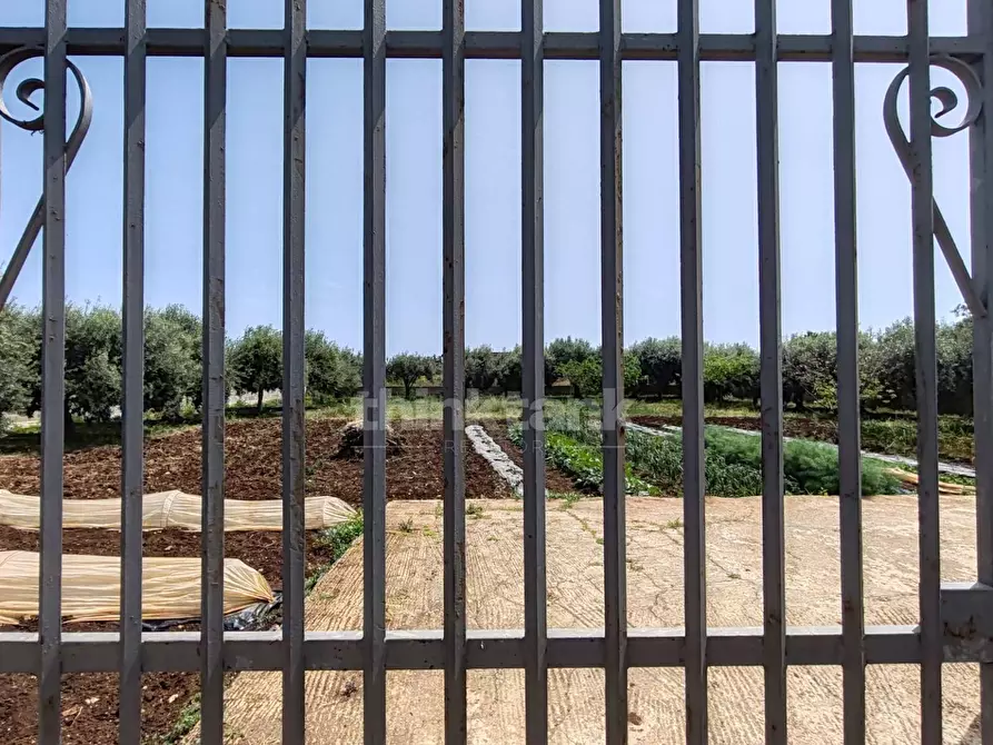 Immagine 7 di Terreno residenziale in vendita  in via Filicudi s.n.c a Siracusa