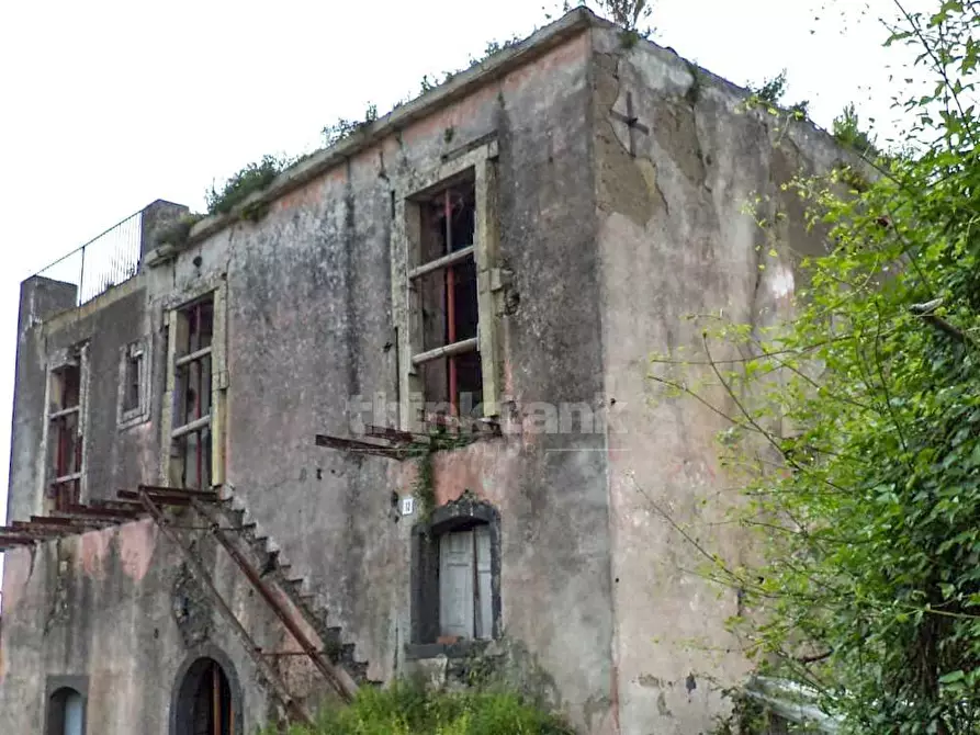 Immagine 4 di Rustico / casale in vendita  in petrulli snc a Zafferana Etnea