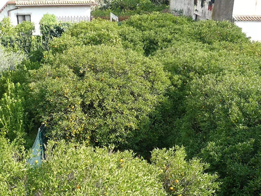 Immagine 25 di Palazzo in vendita  in Via Scalilla snc a Gravina Di Catania