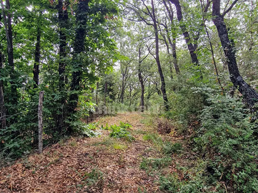 Immagine 17 di Casa indipendente in vendita  in vena snc a Piedimonte Etneo