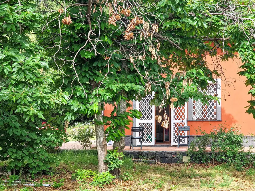 Immagine 2 di Casa indipendente in vendita  in vena snc a Piedimonte Etneo