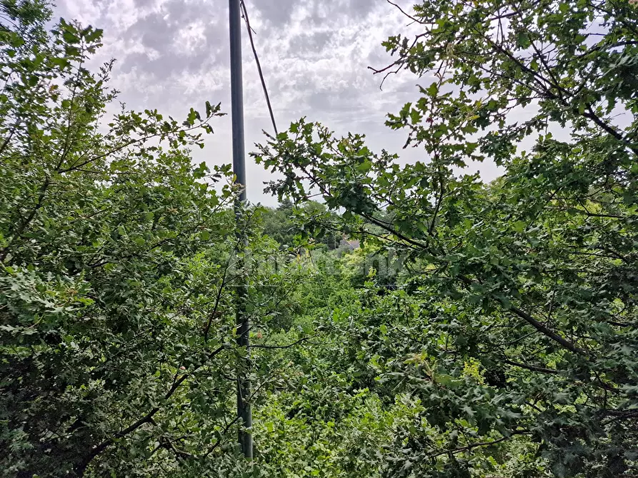 Immagine 18 di Casa indipendente in vendita  in vena snc a Piedimonte Etneo