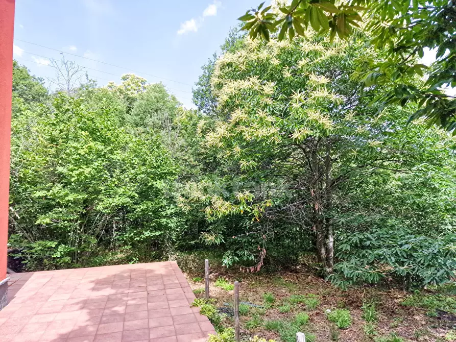 Immagine 15 di Casa indipendente in vendita  in vena snc a Piedimonte Etneo