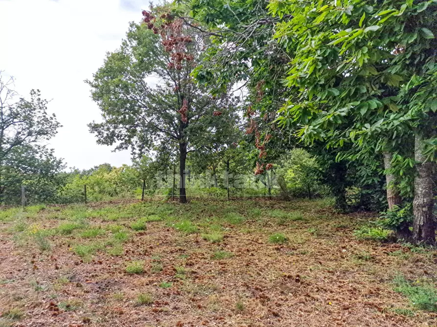 Immagine 16 di Casa indipendente in vendita  in vena snc a Piedimonte Etneo