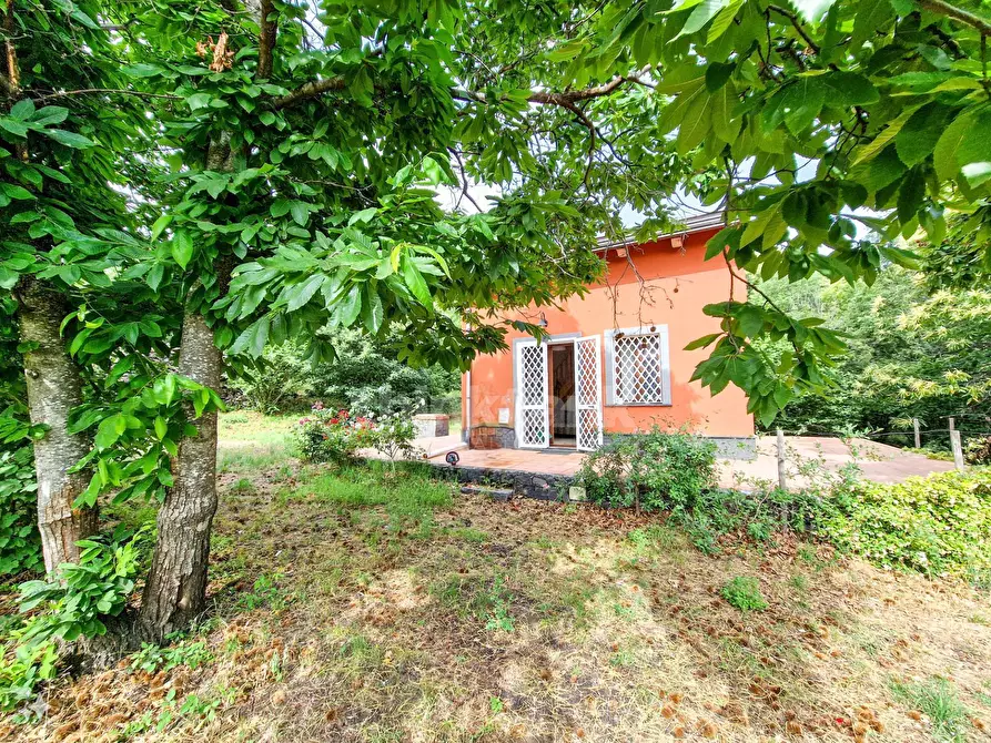 Immagine 22 di Casa indipendente in vendita  in vena snc a Piedimonte Etneo