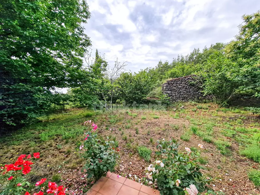 Immagine 19 di Casa indipendente in vendita  in vena snc a Piedimonte Etneo