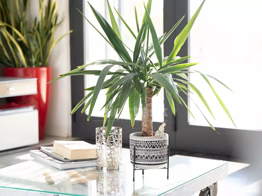 Immagine 20 di Villa in vendita  in via Meti a Avola