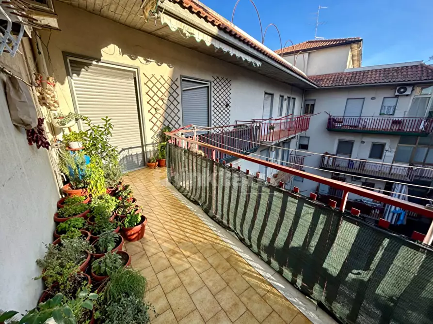 Immagine 3 di Appartamento in vendita  in via finocchiari 121 a Aci Catena