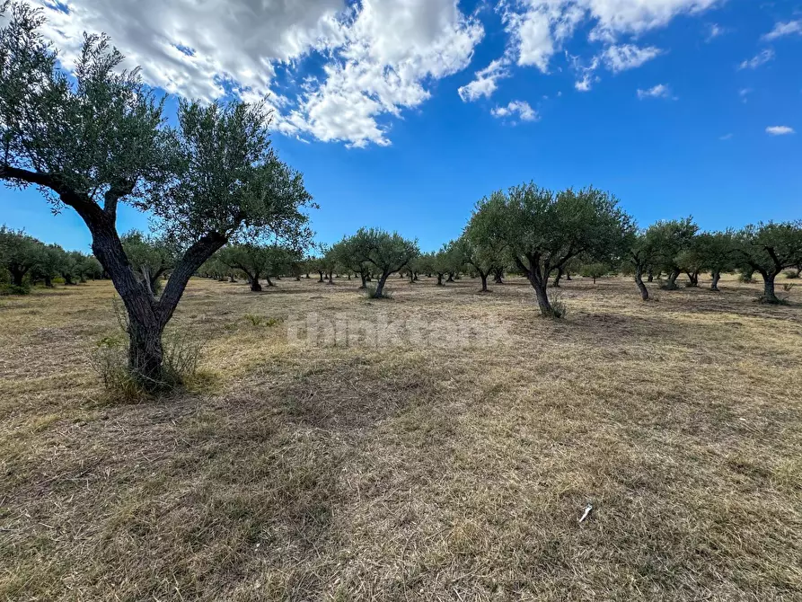 Immagine 1 di Terreno residenziale in vendita  in sp19 a Noto